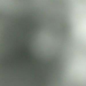 Meet your Posher, Kylea